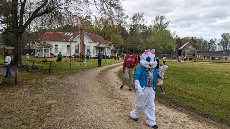 EASTER BUNNY VISITS COMMUNITY EGG HUNT AT RISON - Rison Shine C ommunity Development and the Pioneer Village co-hosted the Cleveland County Eggstravaganza Saturday at the historic village in Rison. The egg hunt featured around 2,000 eggs and more than 60 kids scouring the grounds looking for candy and prize-filled eggs. The event also included a pancake breakfast with the bunny that served as a fundraiser for the two groups.